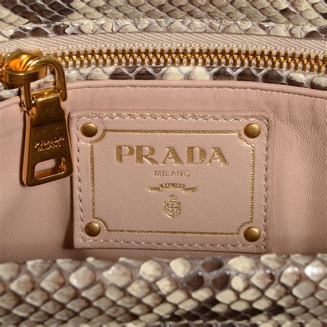 Prada Python Frame Bag 